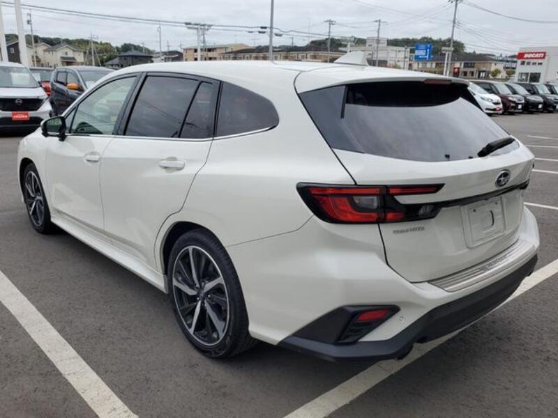 LEVORG