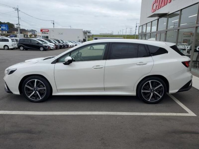 LEVORG