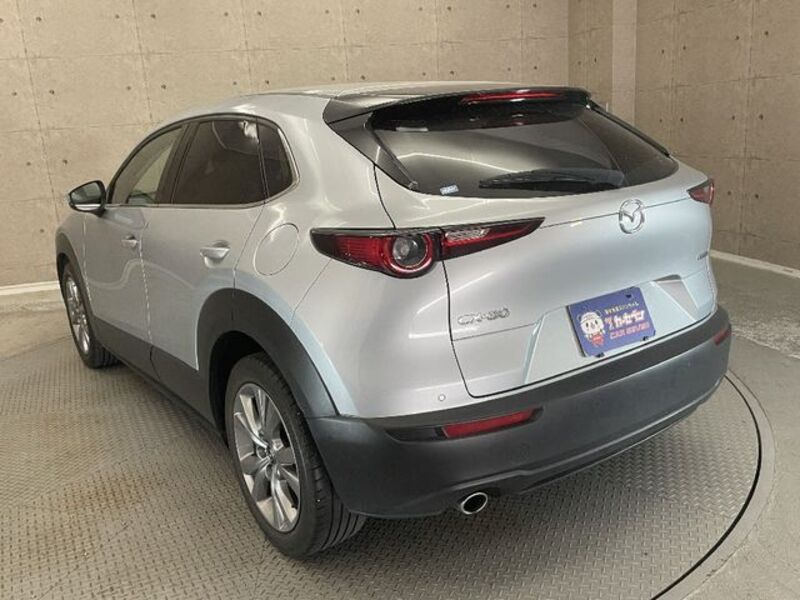 CX-30