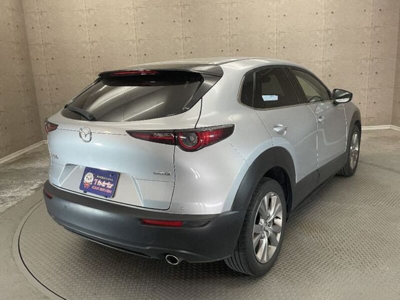 CX-30