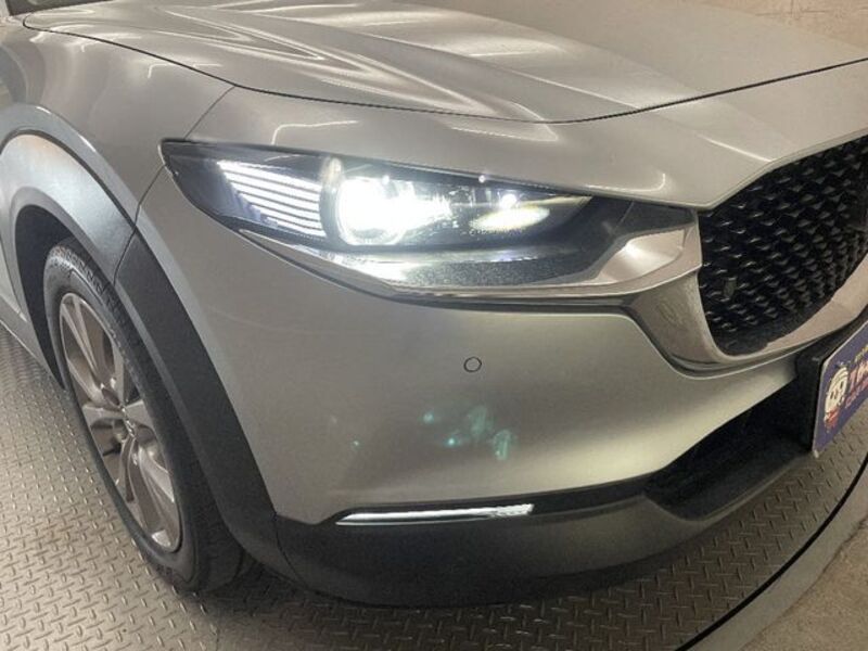 CX-30