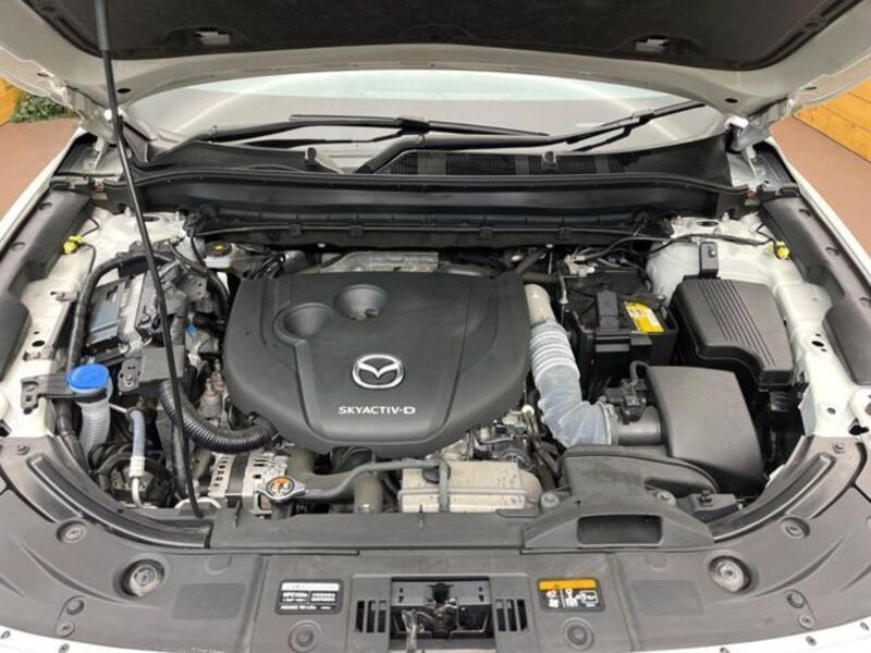 CX-8