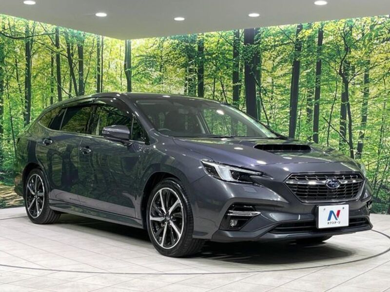LEVORG