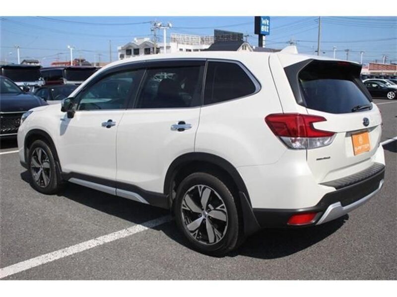 FORESTER