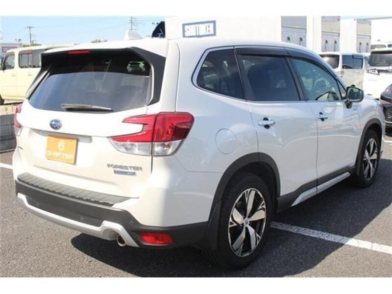 FORESTER