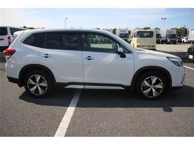 FORESTER