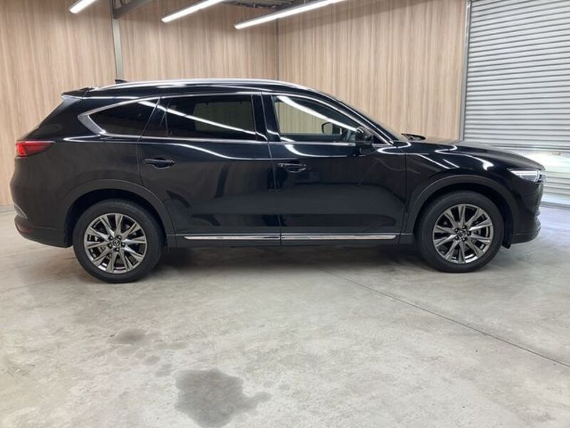 CX-8