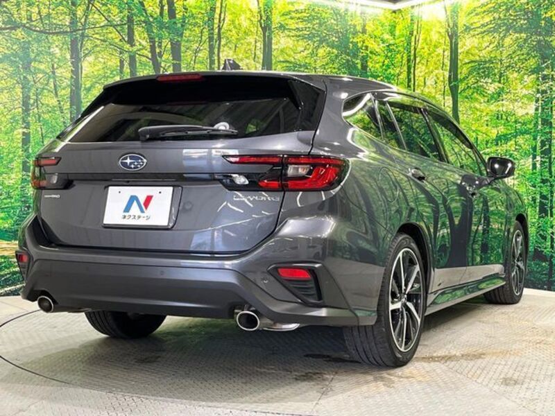LEVORG