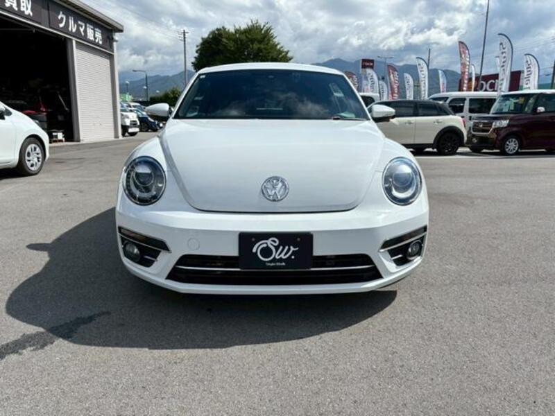 THE BEETLE