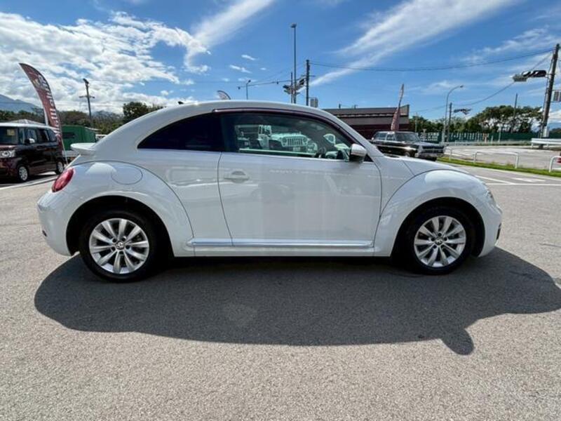 THE BEETLE
