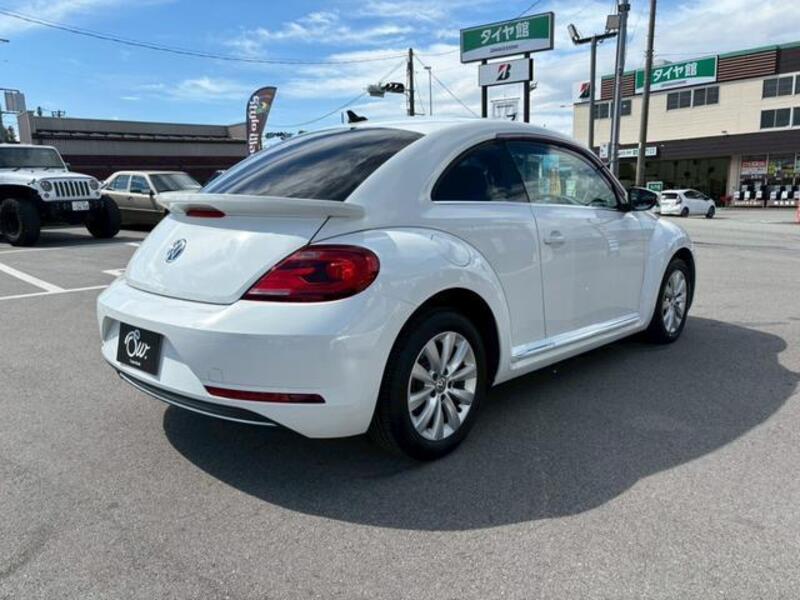 THE BEETLE