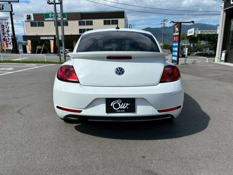 THE BEETLE