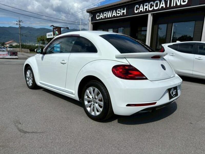 THE BEETLE