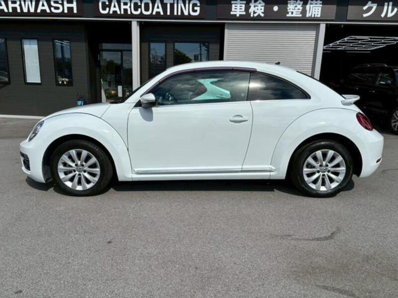 THE BEETLE