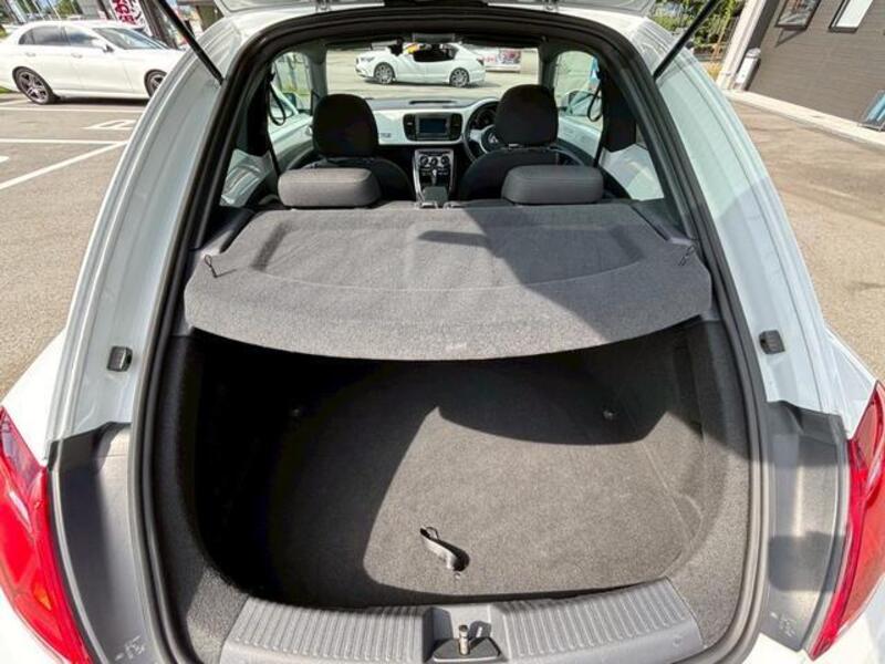 THE BEETLE