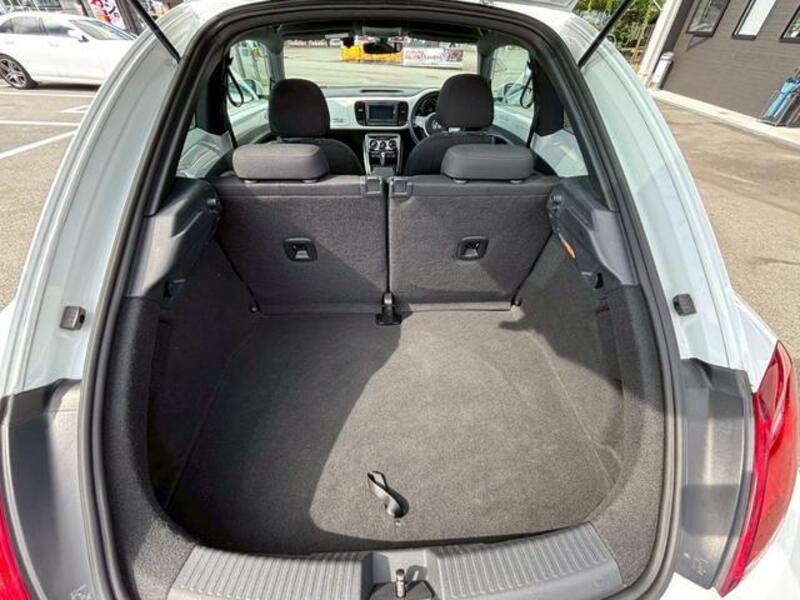 THE BEETLE