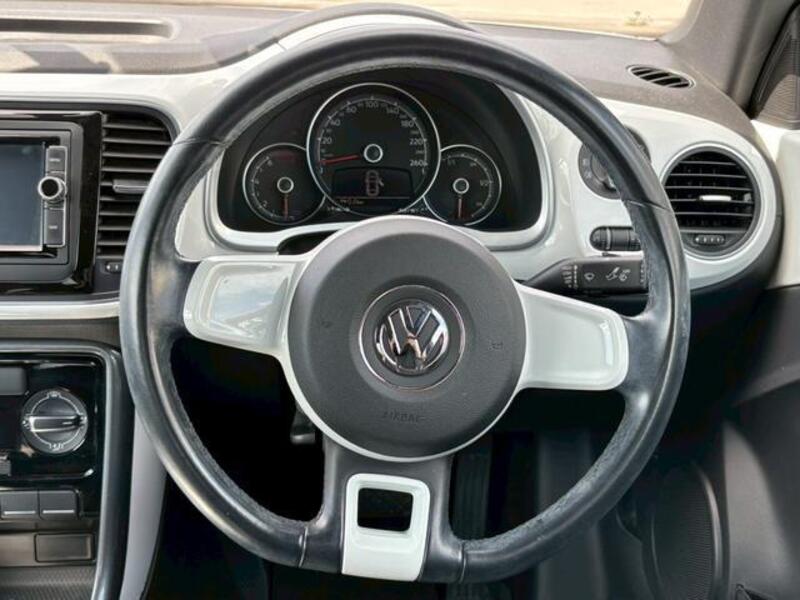 THE BEETLE