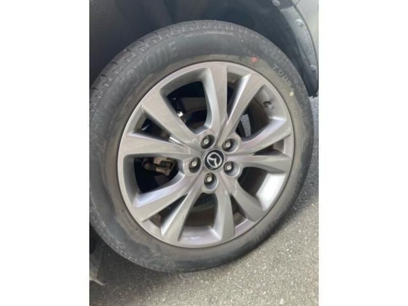 CX-30