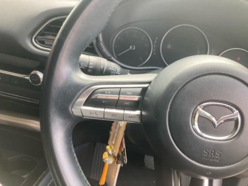 CX-30