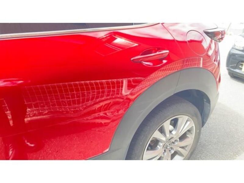 CX-30