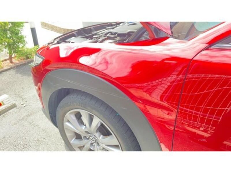 CX-30