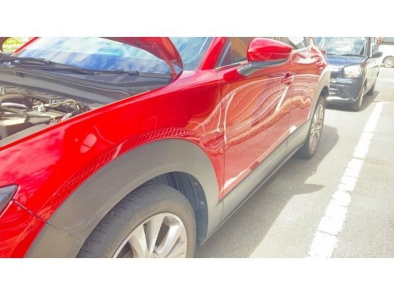 CX-30