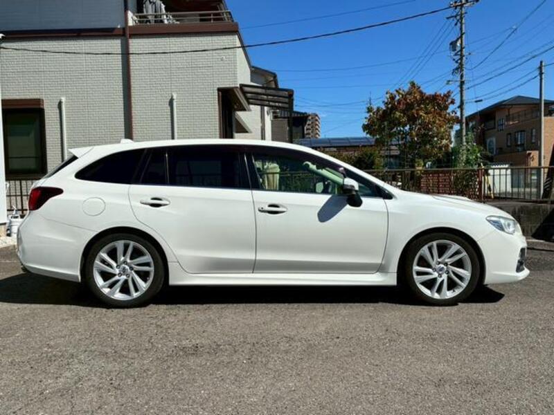 LEVORG
