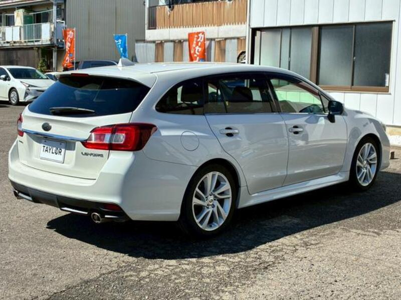 LEVORG