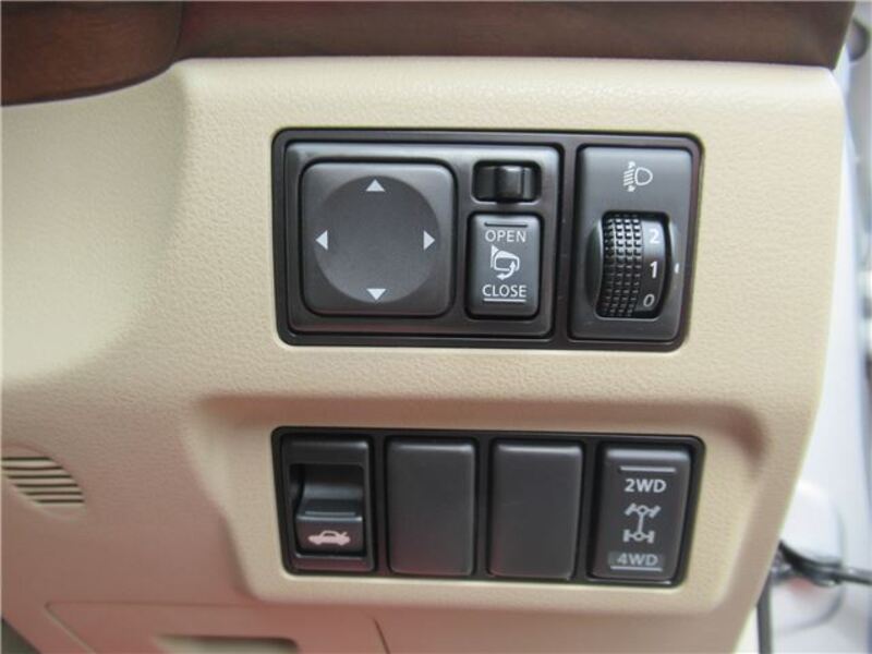 BLUEBIRD SYLPHY