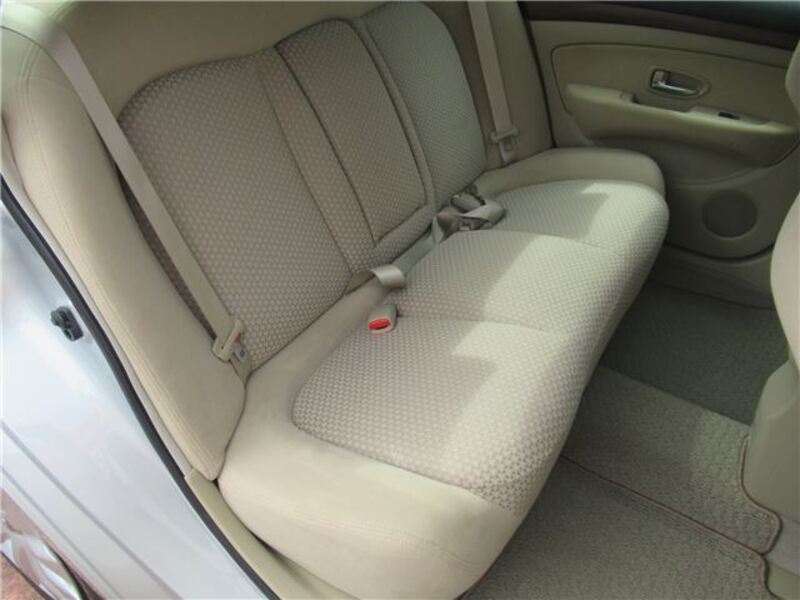 BLUEBIRD SYLPHY
