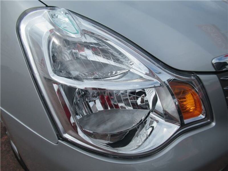 BLUEBIRD SYLPHY