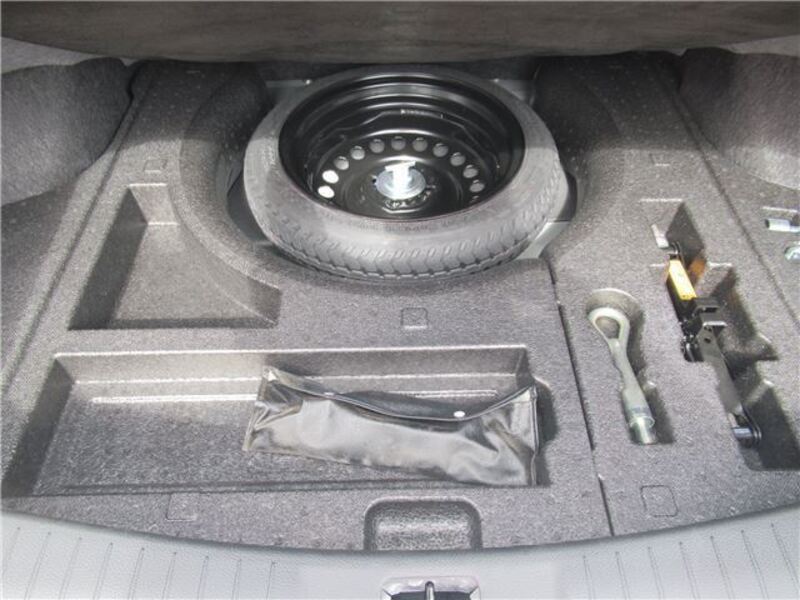 BLUEBIRD SYLPHY