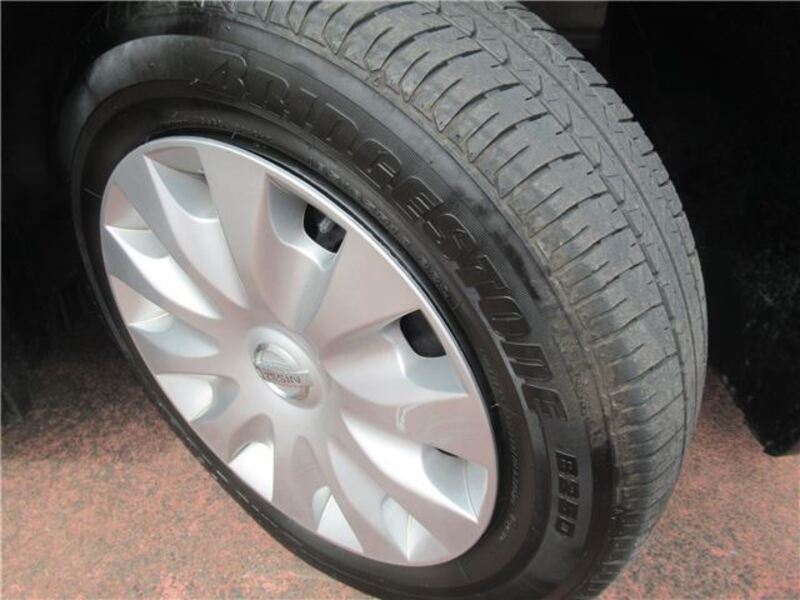 BLUEBIRD SYLPHY