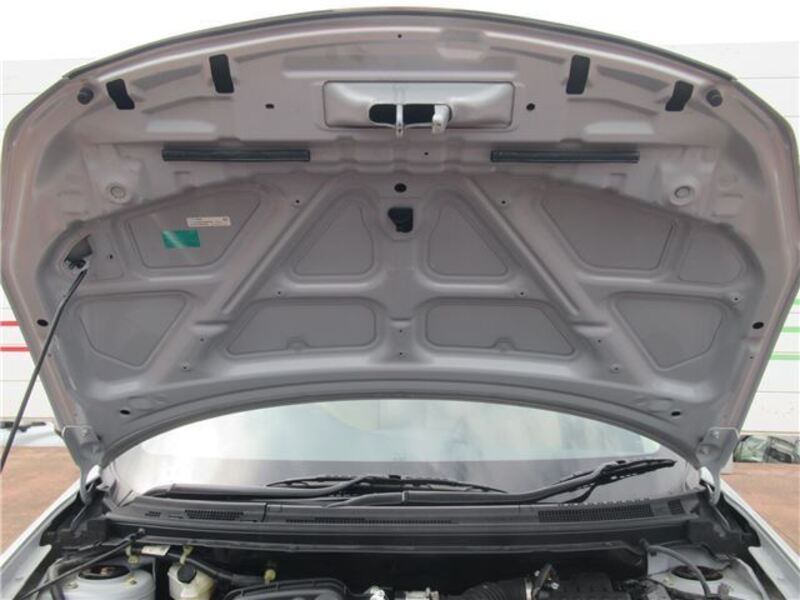 BLUEBIRD SYLPHY