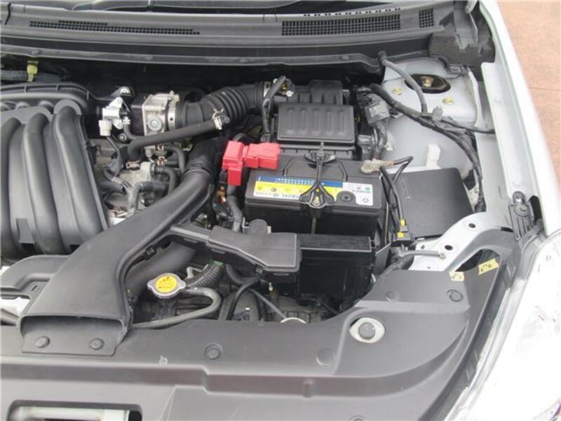 BLUEBIRD SYLPHY