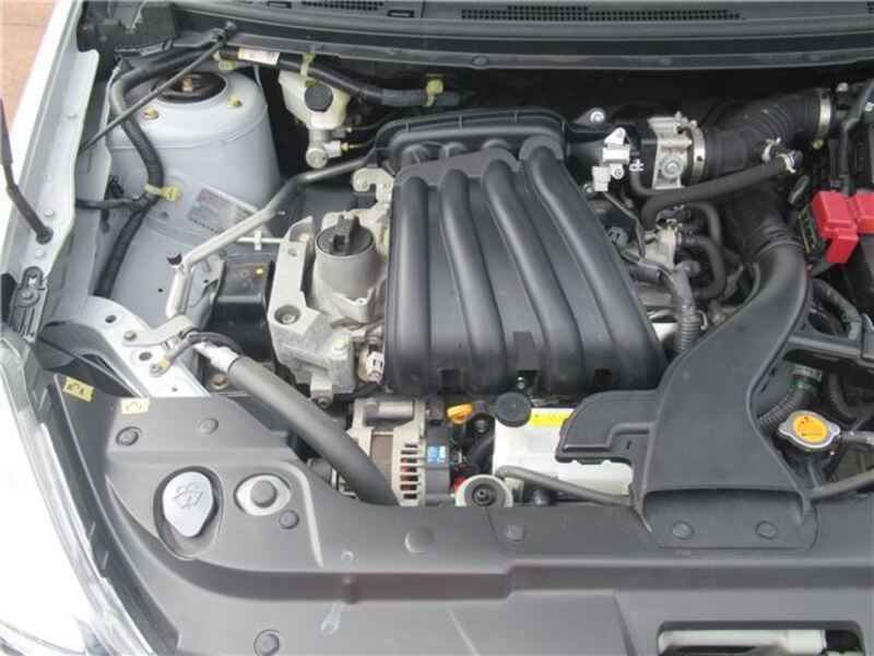 BLUEBIRD SYLPHY