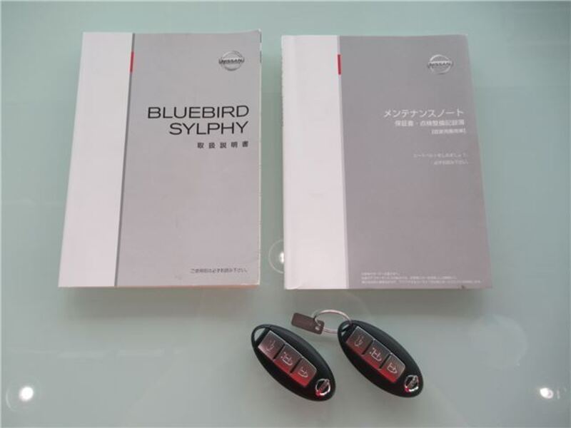 BLUEBIRD SYLPHY