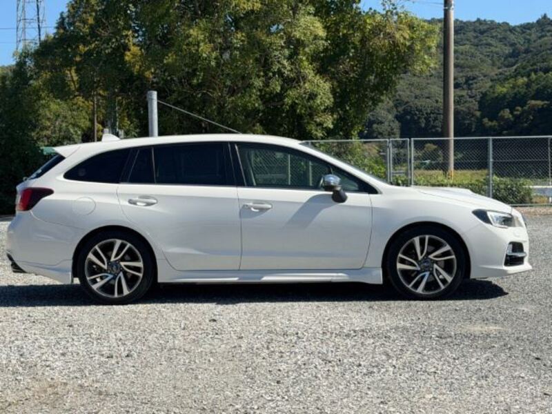 LEVORG