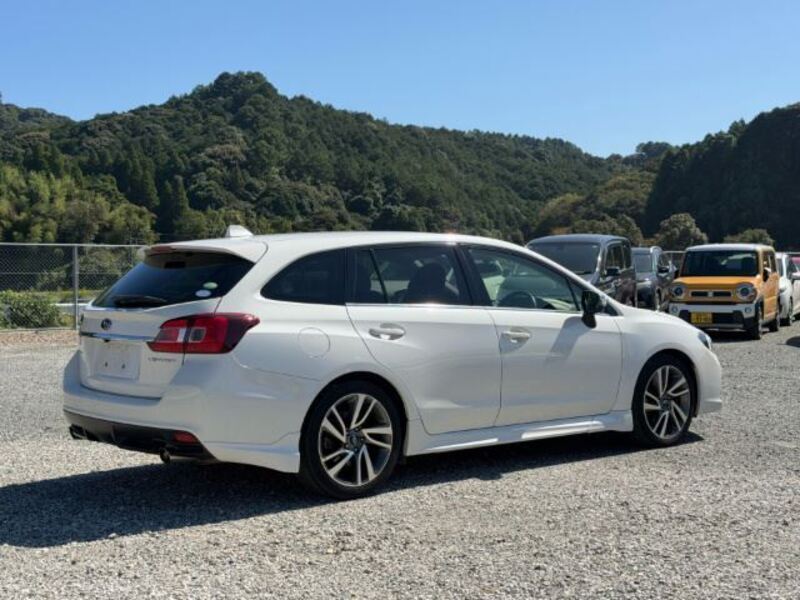 LEVORG