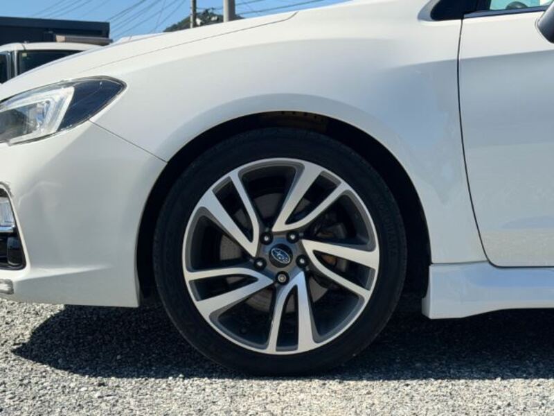 LEVORG