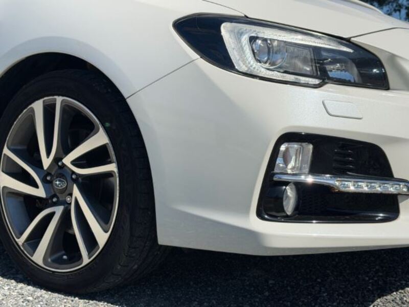 LEVORG