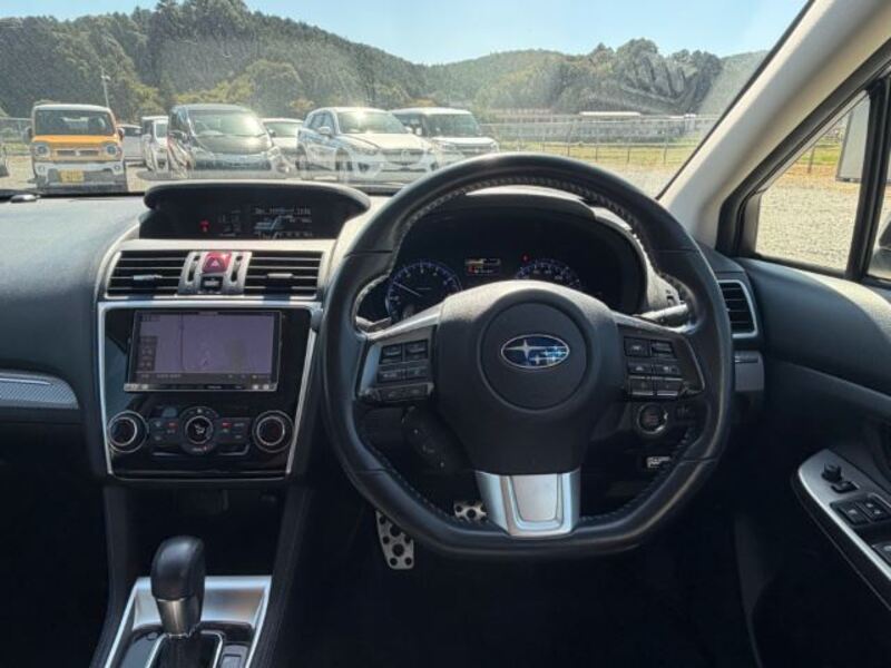 LEVORG