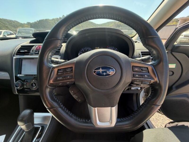 LEVORG