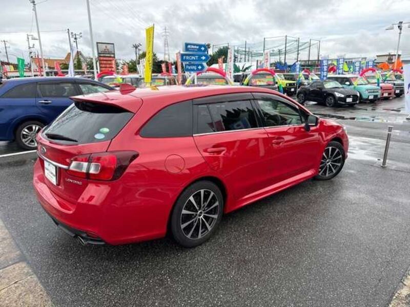 LEVORG