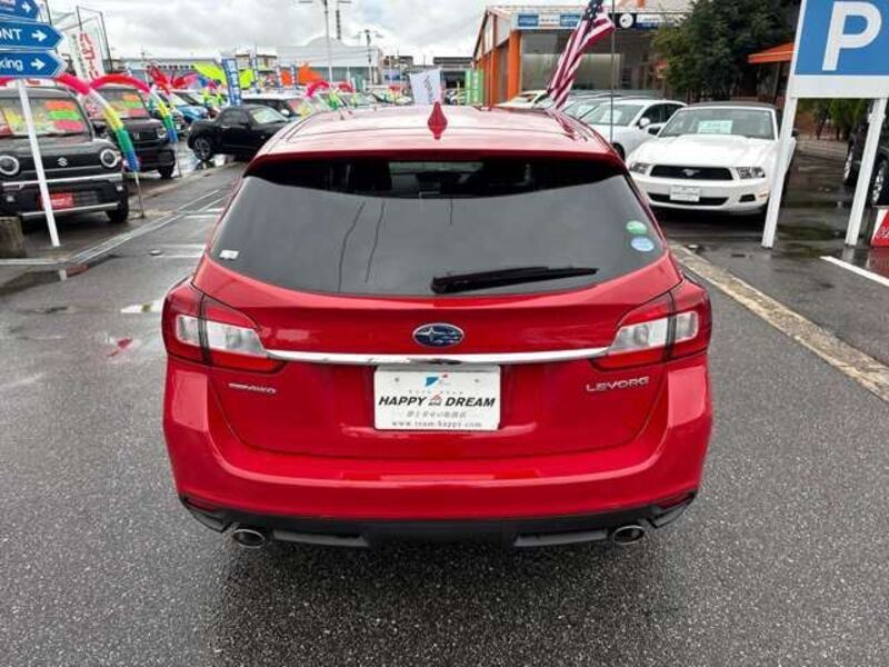 LEVORG