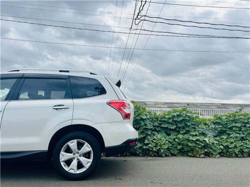 FORESTER