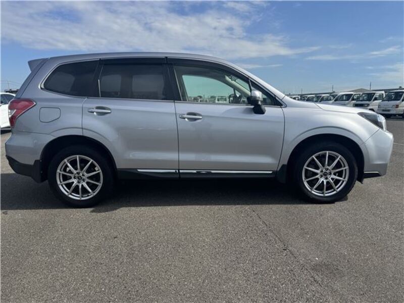 FORESTER