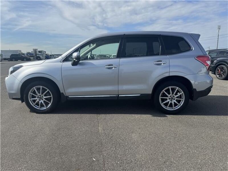 FORESTER