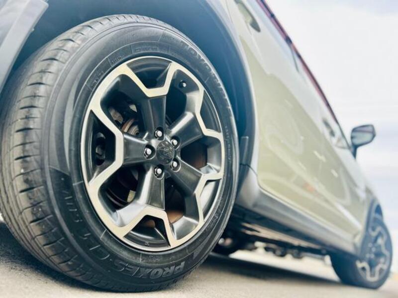 XV