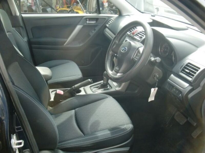 FORESTER